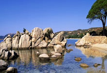 9game sports-切尔西训练开放日；赛前绝杀压哨引欢呼；欧超杯在即；赛程密集仍需轮换的简单介绍-9game sports